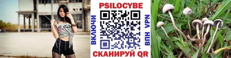 МЕГА ссылки  Тверь  Галлюциногенные грибы GOLDEN TEACHER 