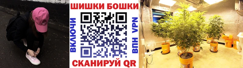 Бошки Шишки сатива  Тверь 